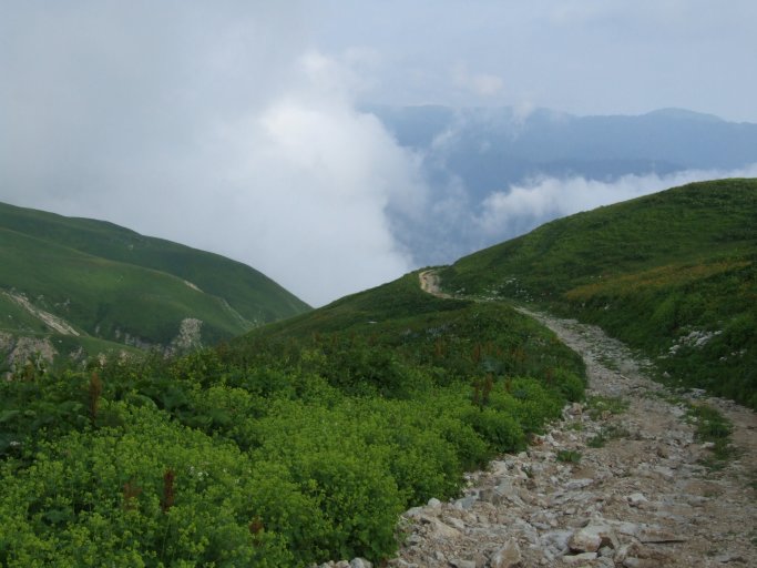 Туры по Абхазии, Альпийские луга